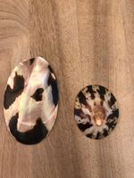 Muschel 2 Stück