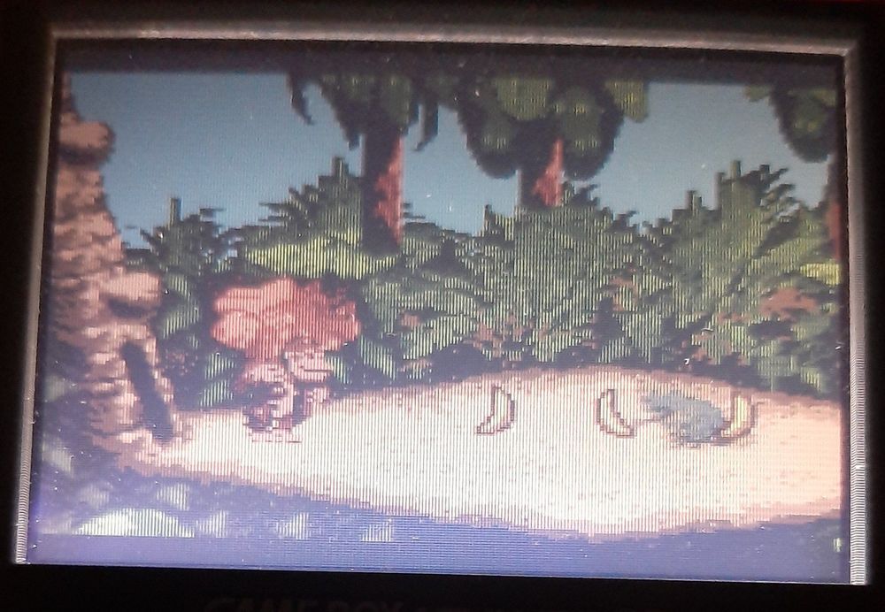Donkey Kong Country Game Boy Color mit neuer Batterie (Gebraucht) in ...