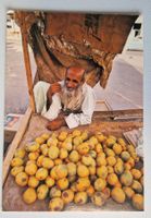 Mango Verkäufer Oman top