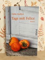 Tage mit Felice - Fabio Andina
