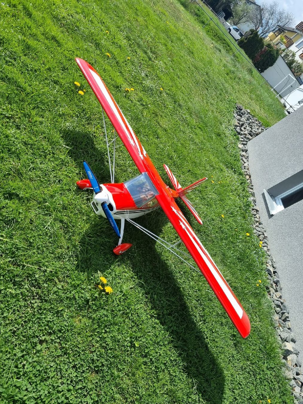 RC Modellbau: schöne Belanca Citebria – Gebraucht aus Sennwald von Flying 2