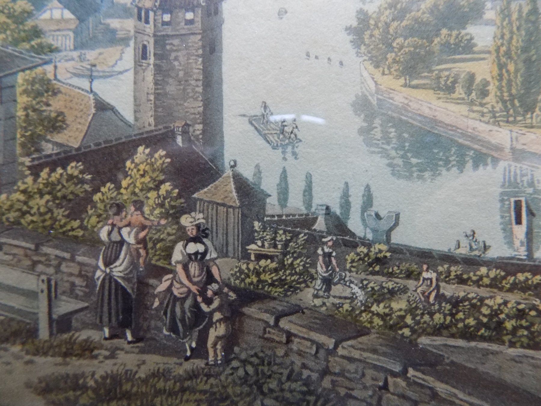 Gravures: Thun Lory selten – D'occasion à Risch par Rischli15 8