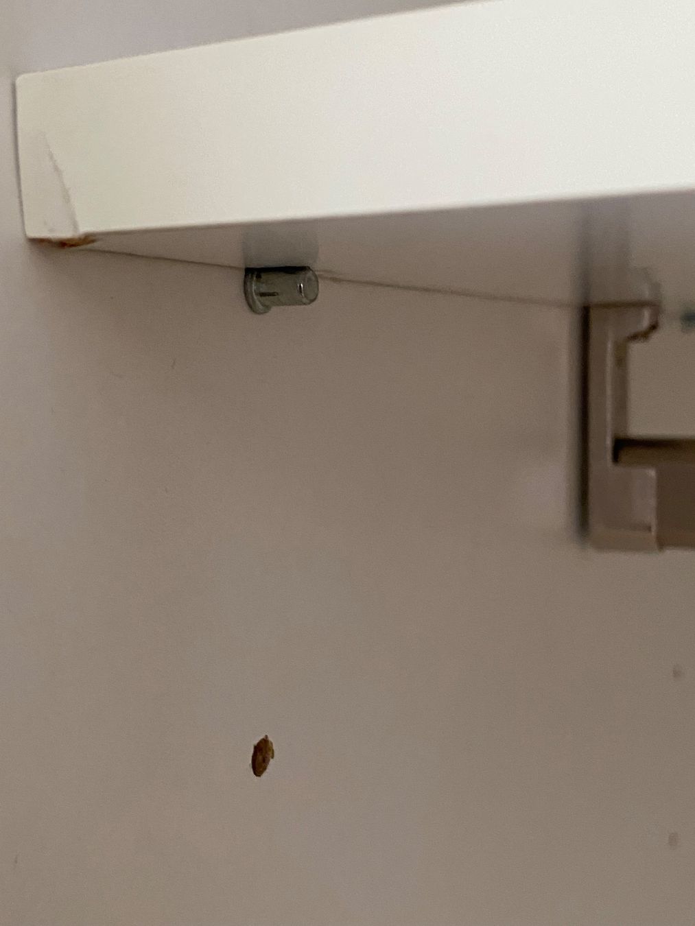 Armadi: Kleiderschrank – Usato da Thalwil venduto da Hcdavalanche 7