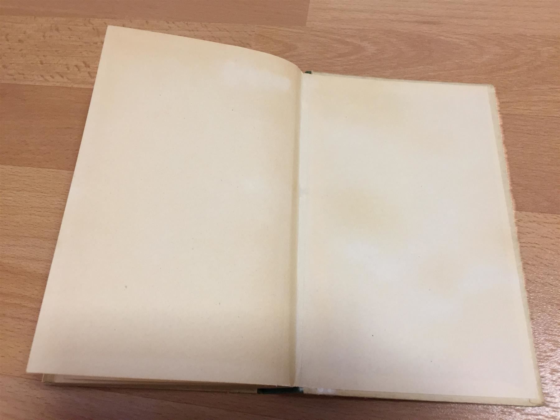 Libri: G.Menzel «Flüchtlinge» 1933 – Usato da Cormagens venduto da Bonsai111 6