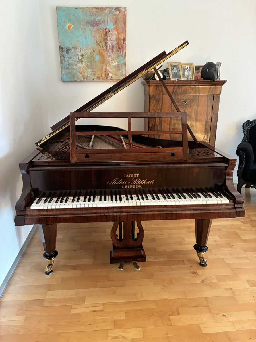 Blüthner Musikinstrumente: Blüthner 1858 – Gebraucht aus Vétroz von Saraho