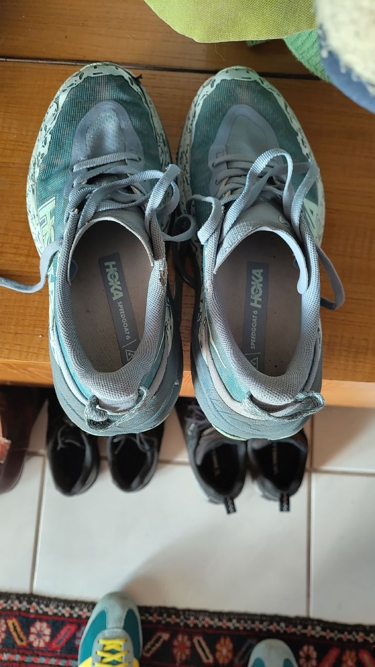 Scarpe da uomo: hoka speedgoat 6 grösse 38 – Usato da Stäfa venduto da mic_b7td 4