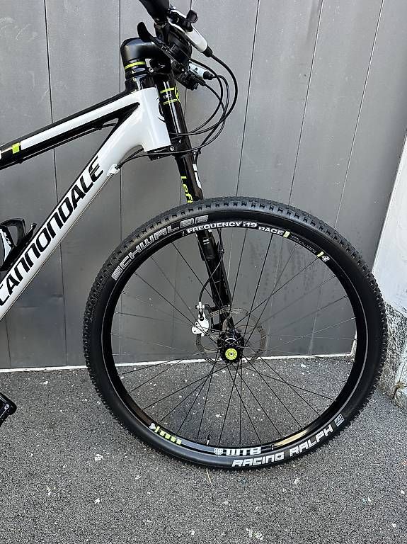 Velos: Bicicletta MTB Cannondale Lefty Carbonio 29  – Gebraucht aus Quartino von DiloUsato 5
