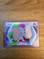 Toops Neon 2026, Dumbo Parallels Pink/Green/Blue 130/150
