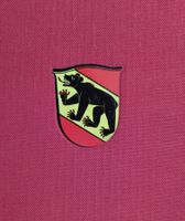 Paul Bosech Buch nummeriert / Bern + Amtsbezirke / Signiert