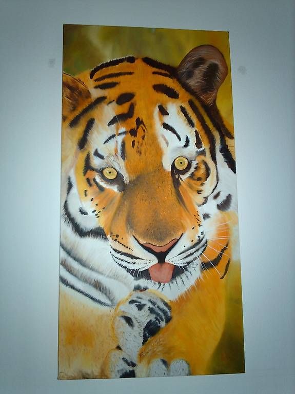 Foto & Immagini: Bild "Tiger" (Oel) 40x80 cm – Usato da Bassersdorf venduto da ella98