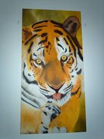 Bild "Tiger" (Oel) 40x80 cm