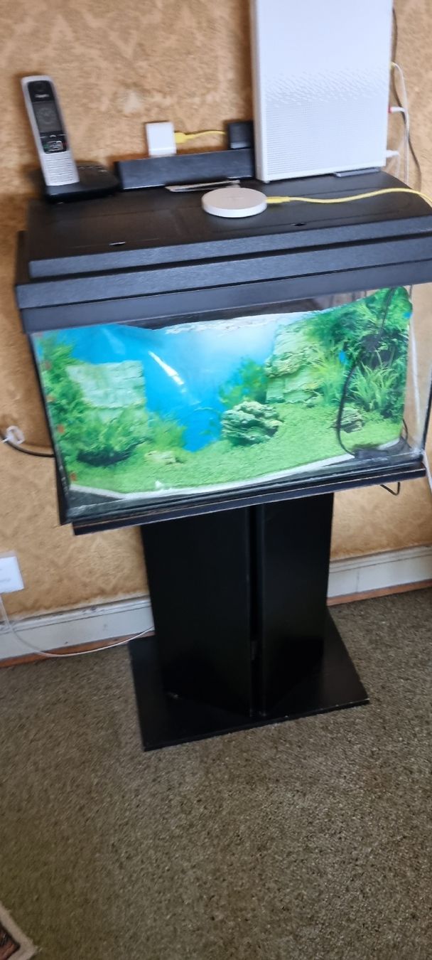 Aquarium: Aquarium meuble – Gebraucht aus Bavois von her_9899 1