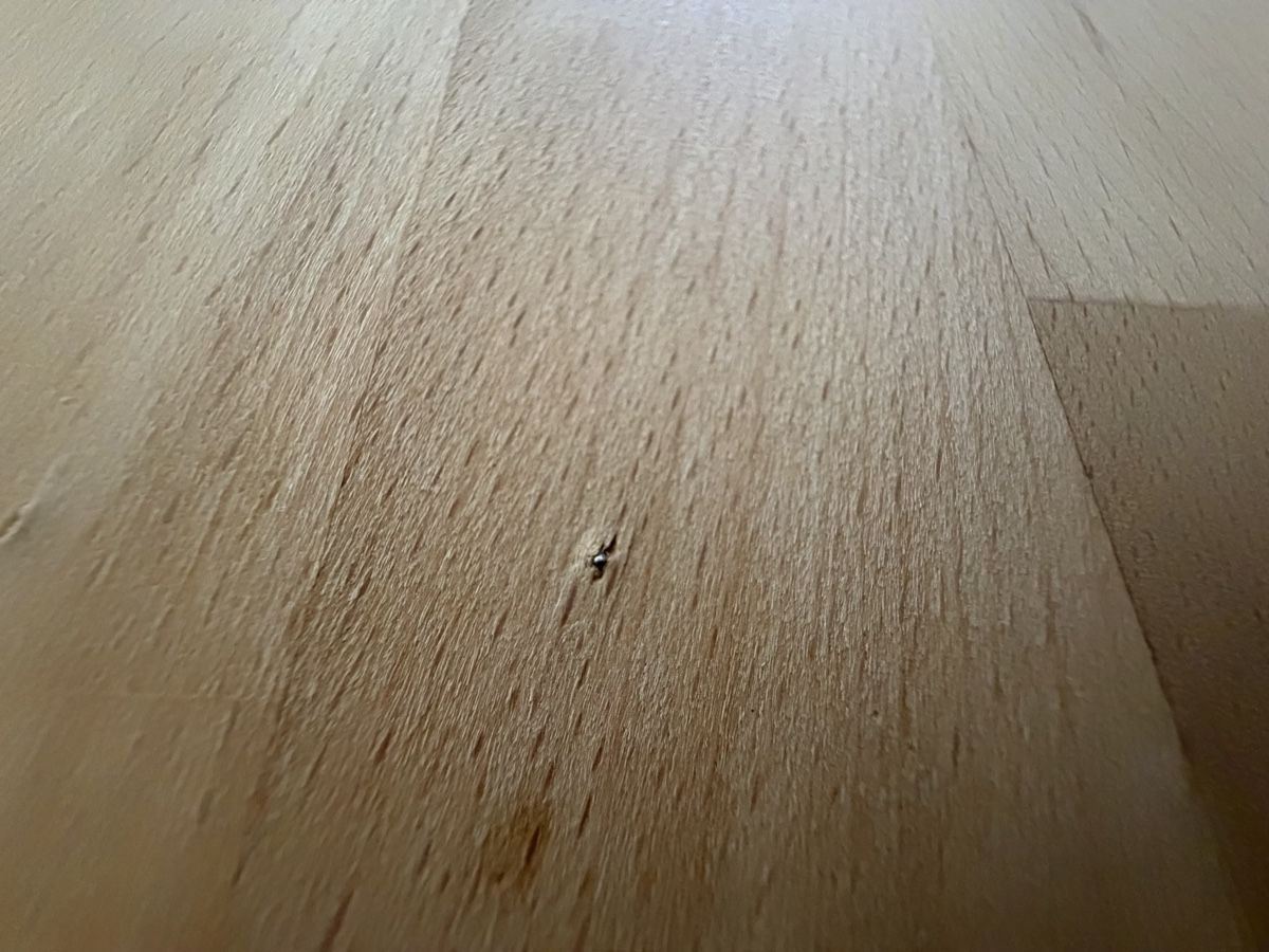 Tavoli: Esstisch RedWOOD – Usato da Au ZH venduto da sim_b6s6 4