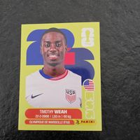 Panini USA12 2026 Timothy Weah Sticker