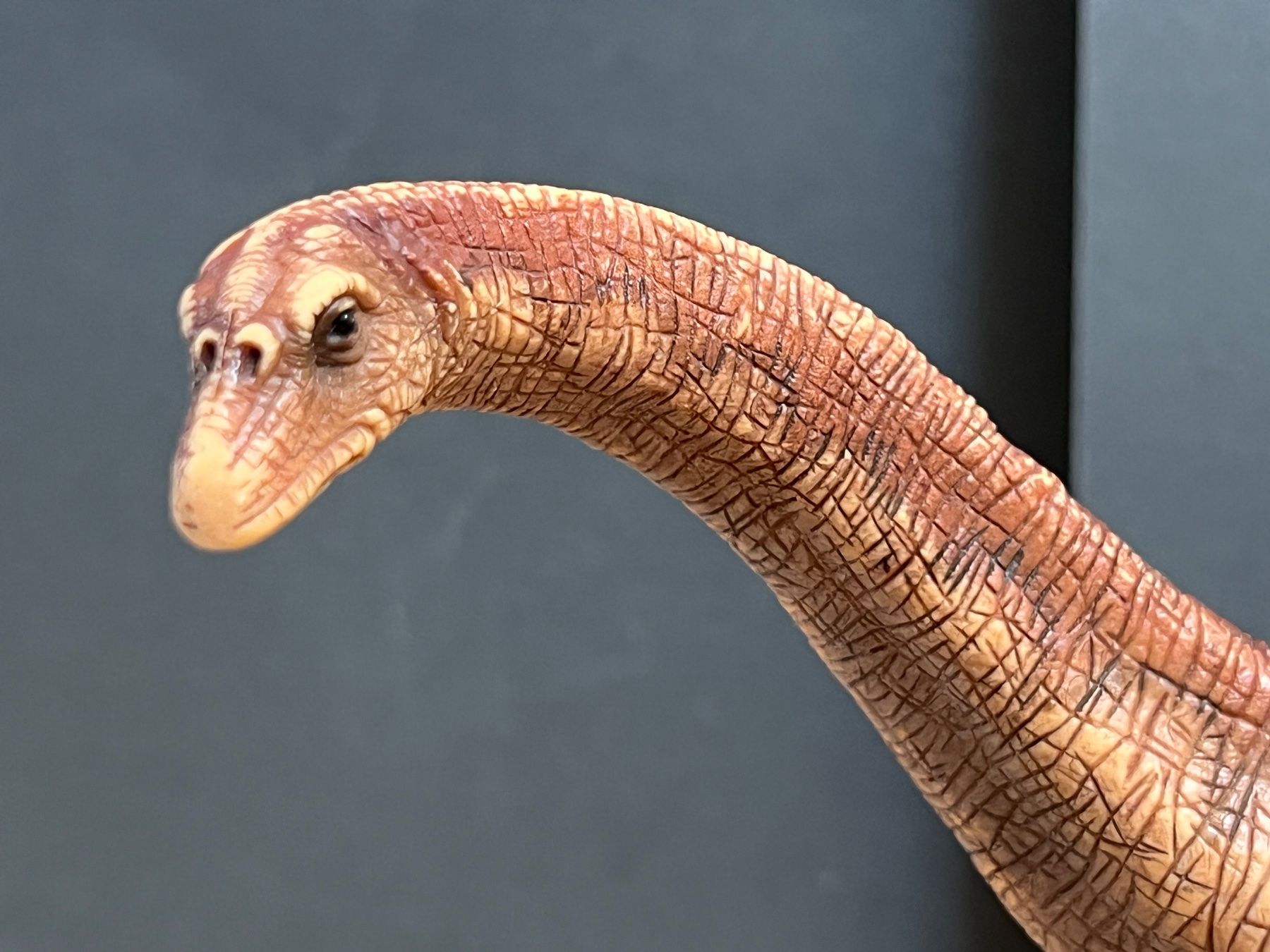 Schleich Statuette: SCHLEICH 14514 Apatosaurus Dinosaurier Dino – Usato da Ennetbaden venduto da mapa05 5