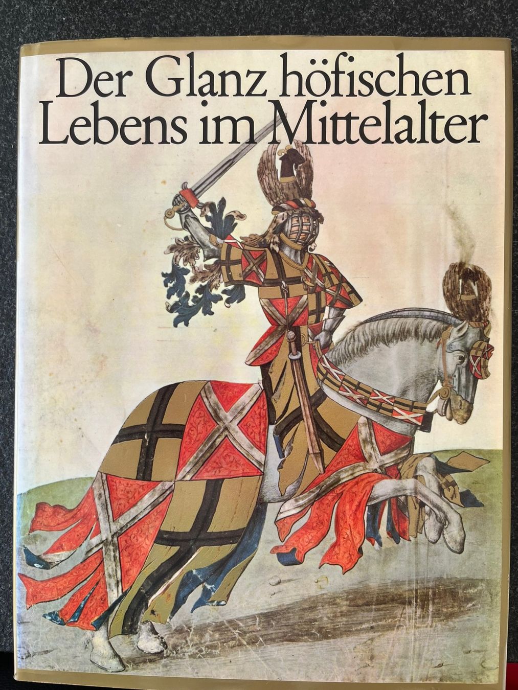 Libri: Der Glanz höfischen Lebens im Mittelalter – Nuovo (secondo la descrizione) da Muri AG venduto da bimasent