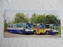 Postauto/Autobusse Saurer RH Parade ZVB               BTM064