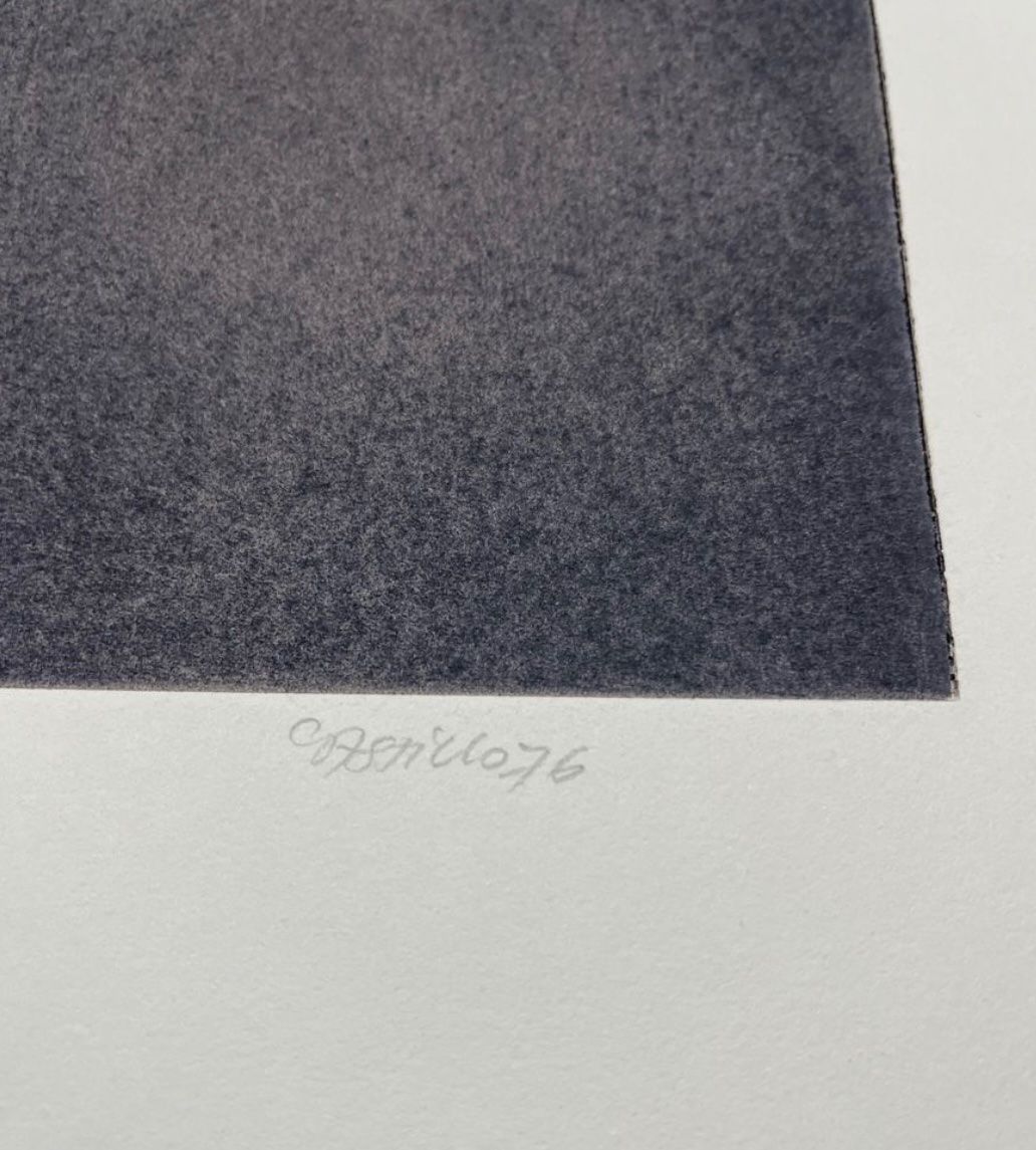 Grafica & Litografie: Jorge Castillo, handsigniert, nummeriert – Usato da Rain venduto da Pic-Ass 2