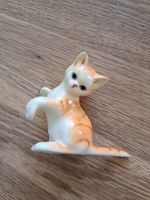 Porzellankatze