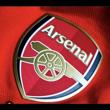 Profile image of Thegunners20
