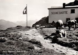 FLIMS Segneshütte, Bes. Pl. Ragettli