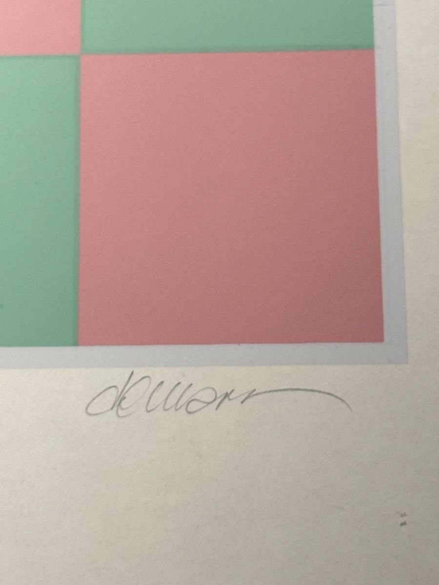 Foto & Immagini: Relations Couleur III - Hugo Demarco - Screen Printing – Usato da Aarburg venduto da Schatzaffe 2