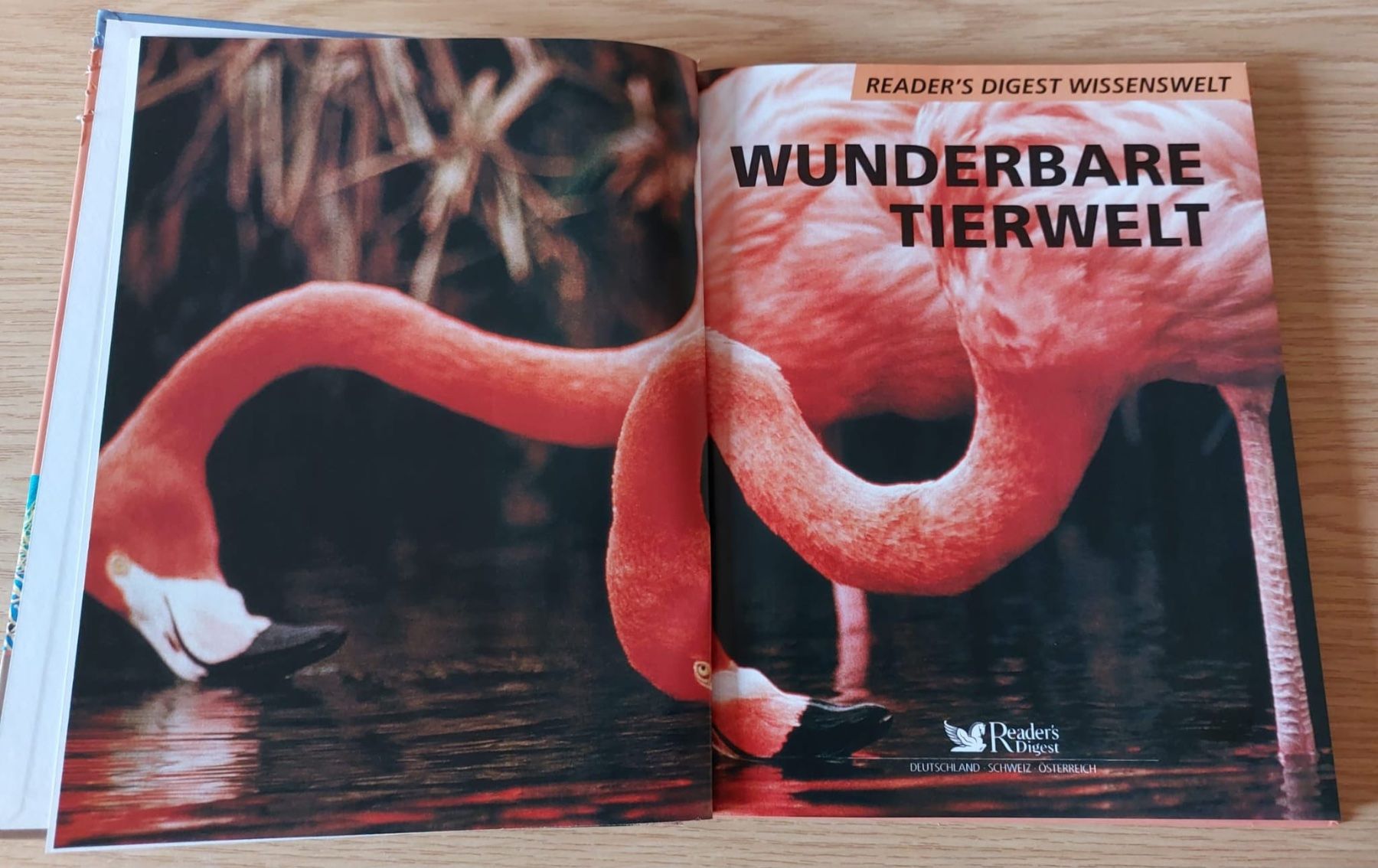 Libri: Reader's Digest Wissenswelt. Wunderbare Tierwelt – Usato da Urtenen-Schönbühl venduto da Kahru 3