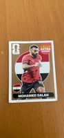 Panini extra sticker