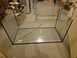 Grosses Glas Terrarium