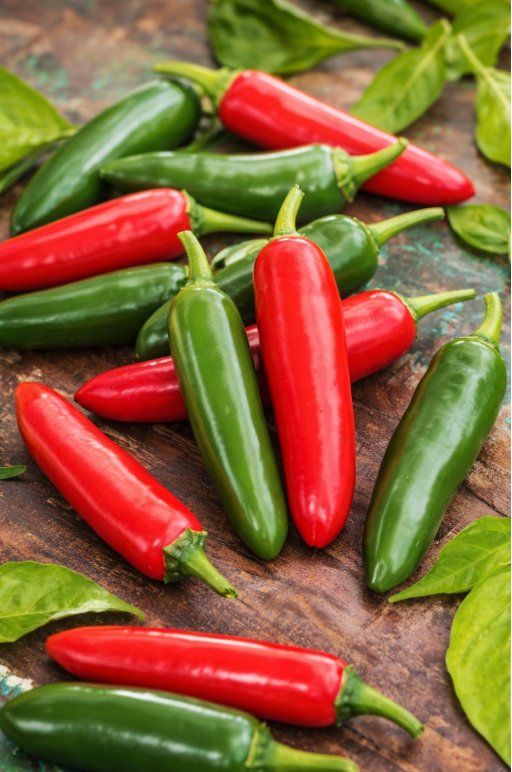 Piante & sementi: Jalapeno Ruben CHILI / 5 Samen – Nuovo (secondo la descrizione) da Hinteregg venduto da ERFOLG78
