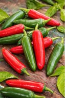 Jalapeno Ruben CHILI / 5 Samen