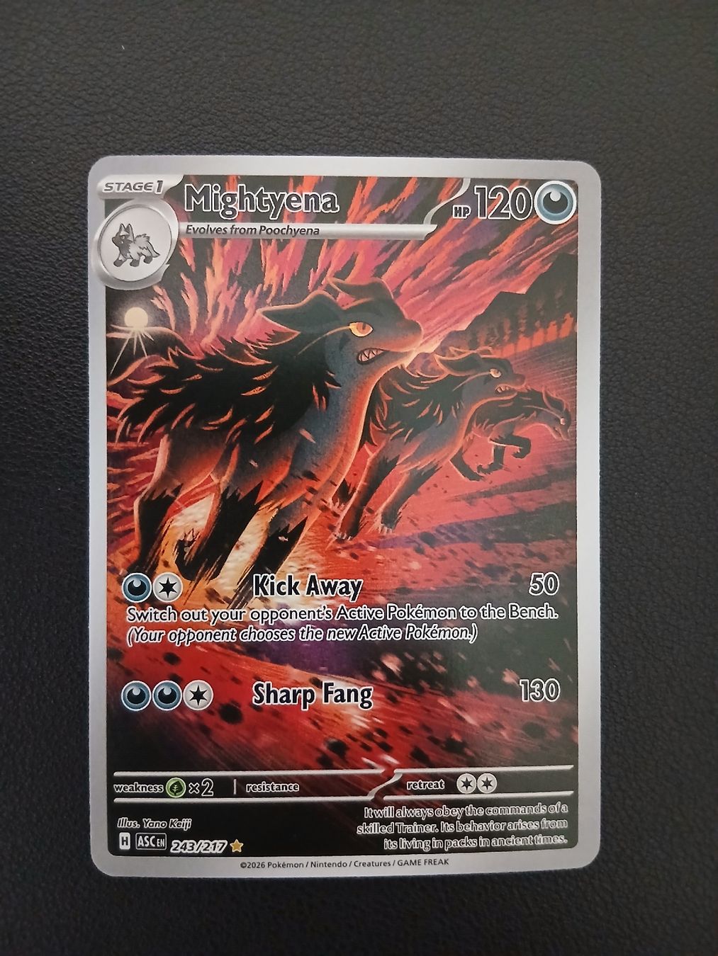 Pokémon Carte collezionabili: Ascended Heroes Mightyena Pokémon EN – Nuovo (secondo la descrizione) da Regensdorf venduto da Baba_Basar
