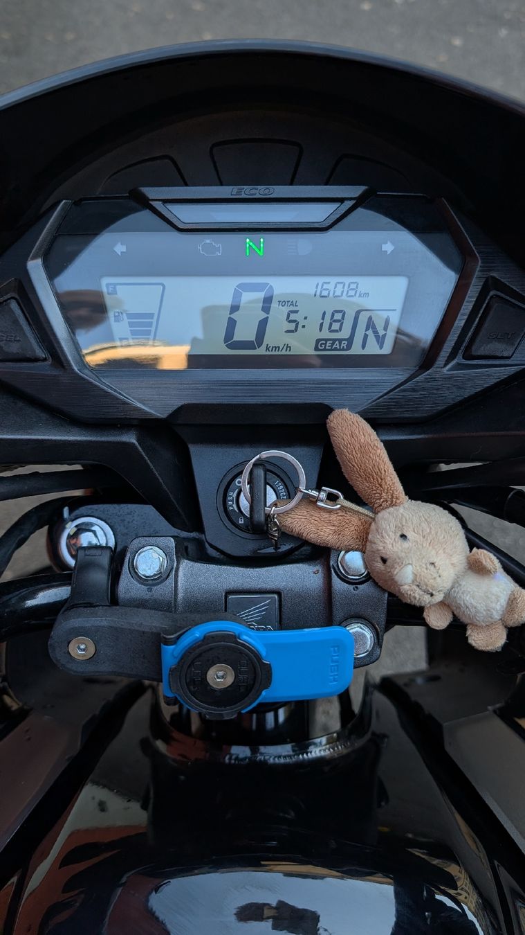Honda Strasse: Motorrad Honda CBF 125M schwarz – Gebraucht aus Winterthur von lou_n7xx 7