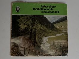 Wo der Wildbach rauscht
