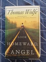 Thomas Wolfe "Schau heimwärts, Engel" – Ein Muss für Leser!