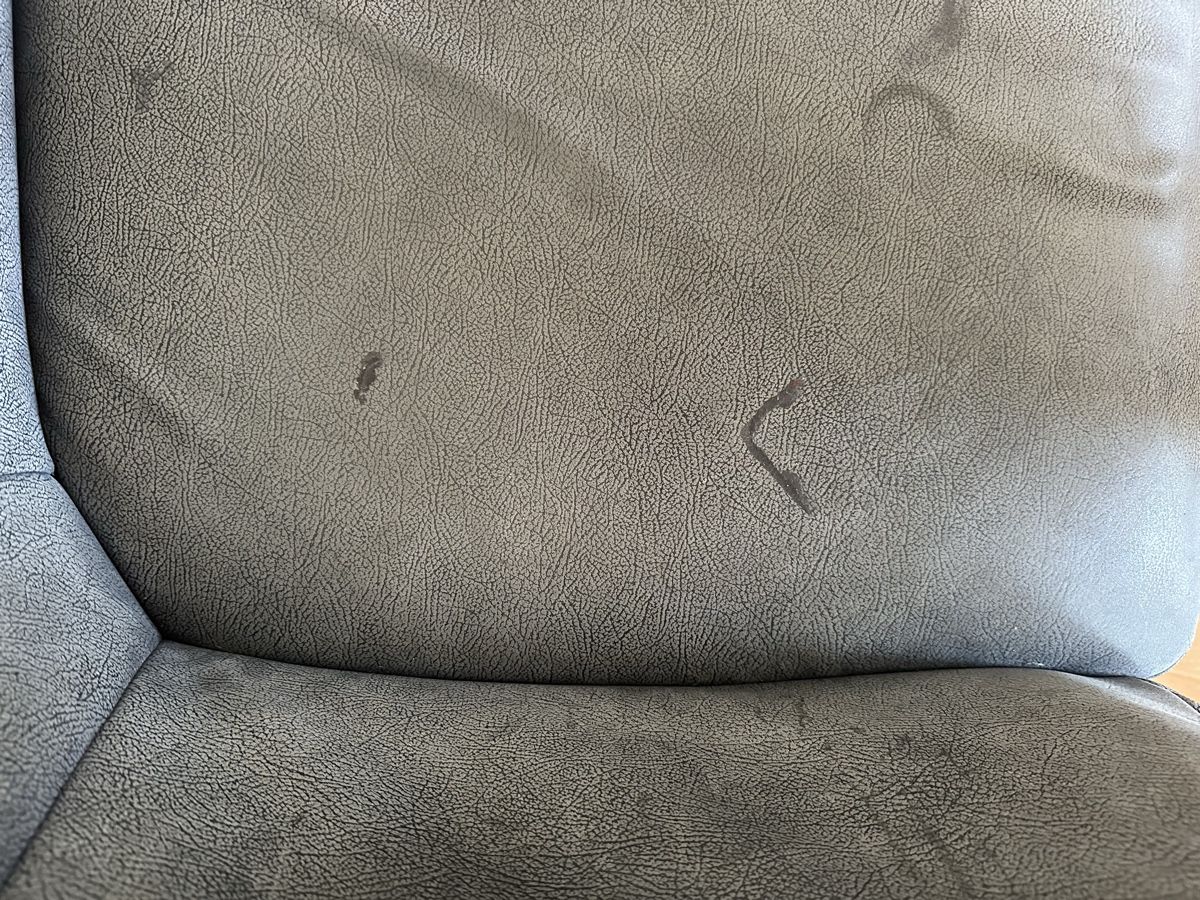 Divani: Zweier Sofa – Usato da Basel venduto da cam_zk52 2