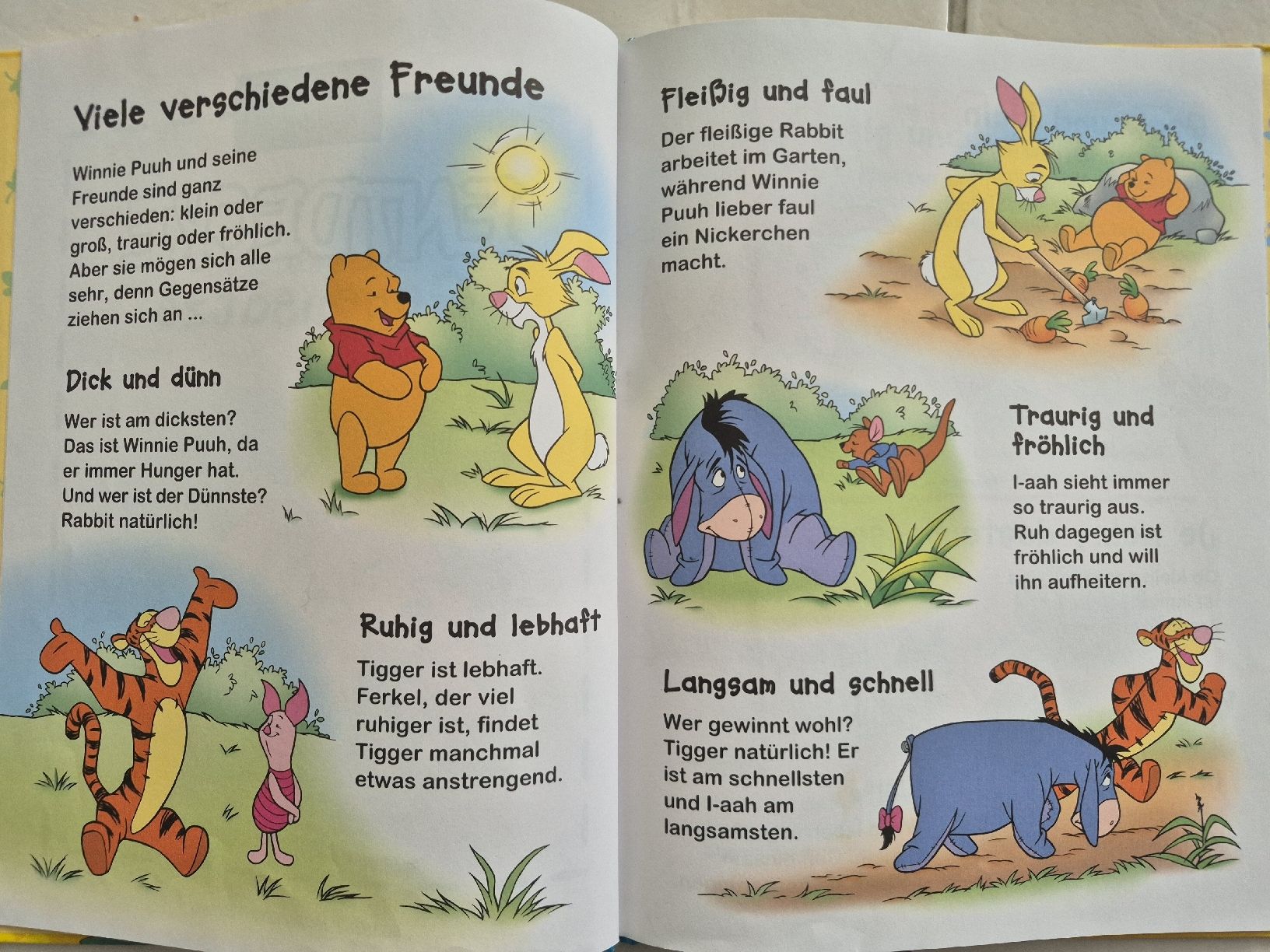 Libri: 2 Kinder Bücher  – Usato da Gränichen venduto da Mamaboy 1