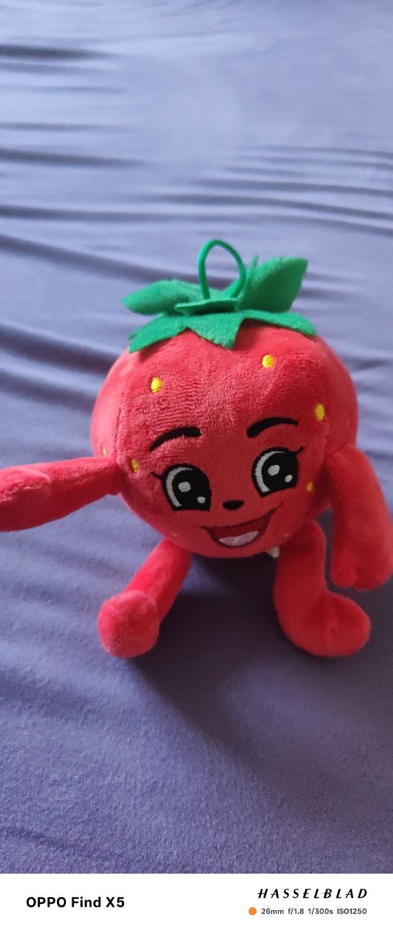 Coop Spielzeuge: Strawberry – Neu (gemäss Beschreibung) aus Unterentfelden von igs_nj72 3