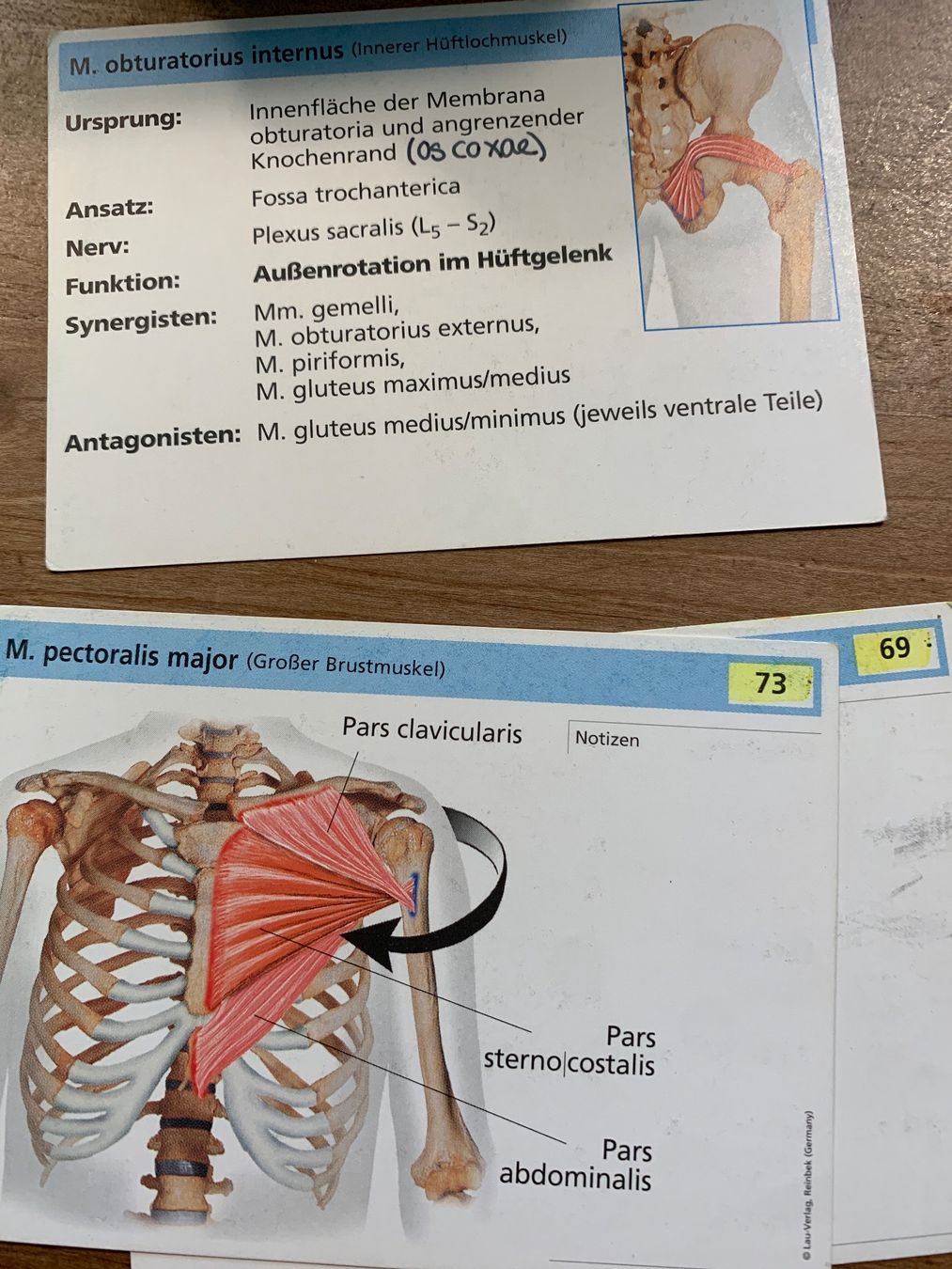 Sonstiger Schulbedarf: Lernkarten Anatomie – Gebraucht aus Neerach von Flomaja 2