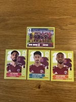 Panini Qatar 4 Stk.
