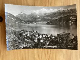 Weggis Vierwaldstättersee - AK