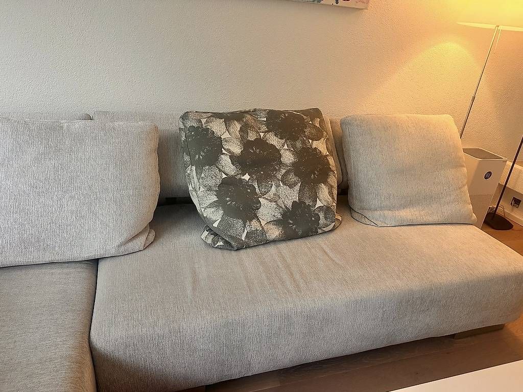 Brühl Sofas: Brühl Eck-Polstergarnitur – Gebraucht aus Bremgarten AG von Salsero23