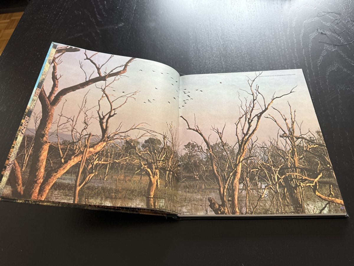 Libri: Der australische Busch – Usato da Erstfeld venduto da Uhu1980 1