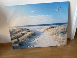 Leinwandbild "Nordseeküste mit Möwe" zu verkaufen!
