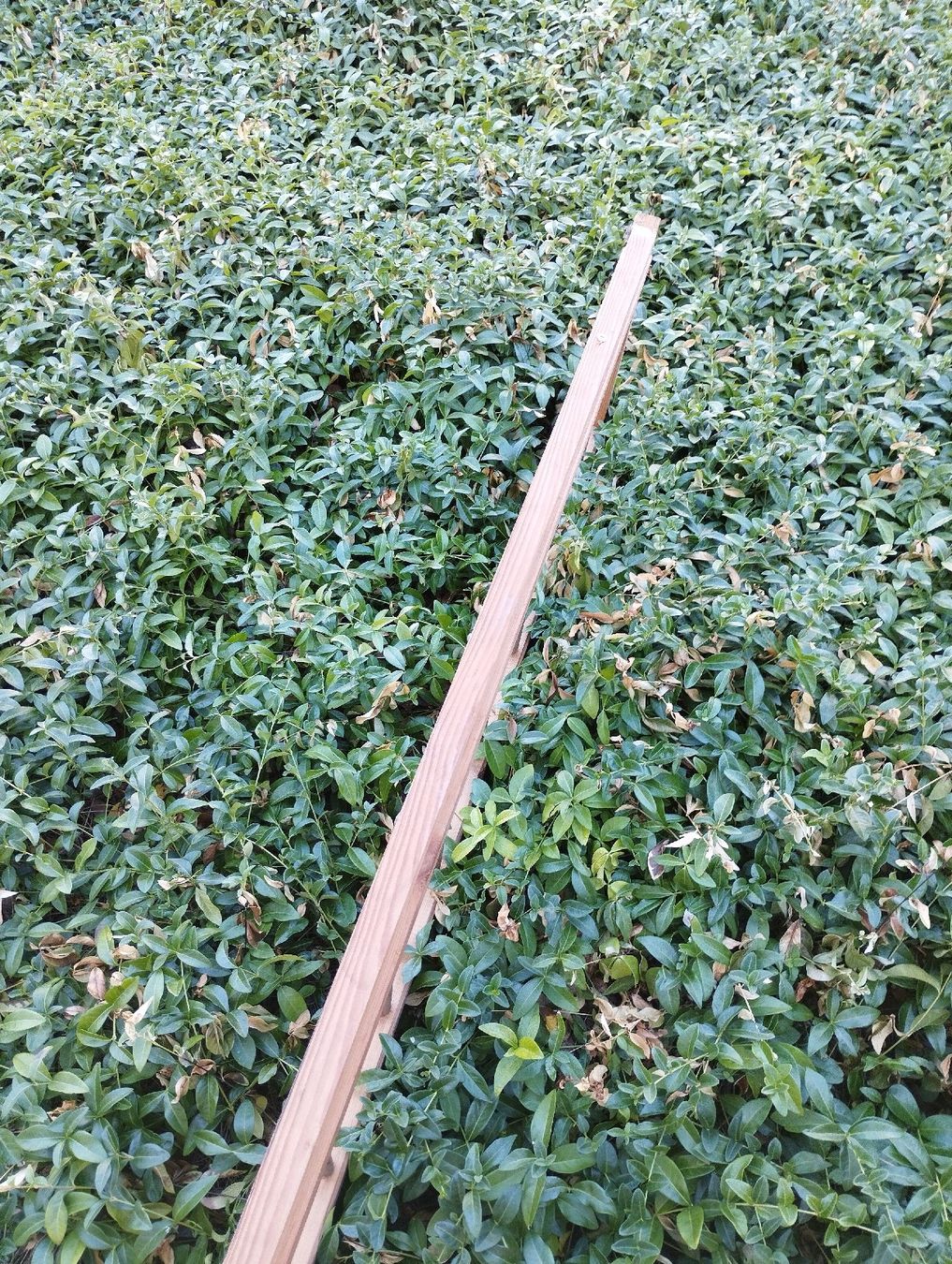 Echelles: Holzleiter Leiter natur – D'occasion à Ostermundigen par Dinge1 5