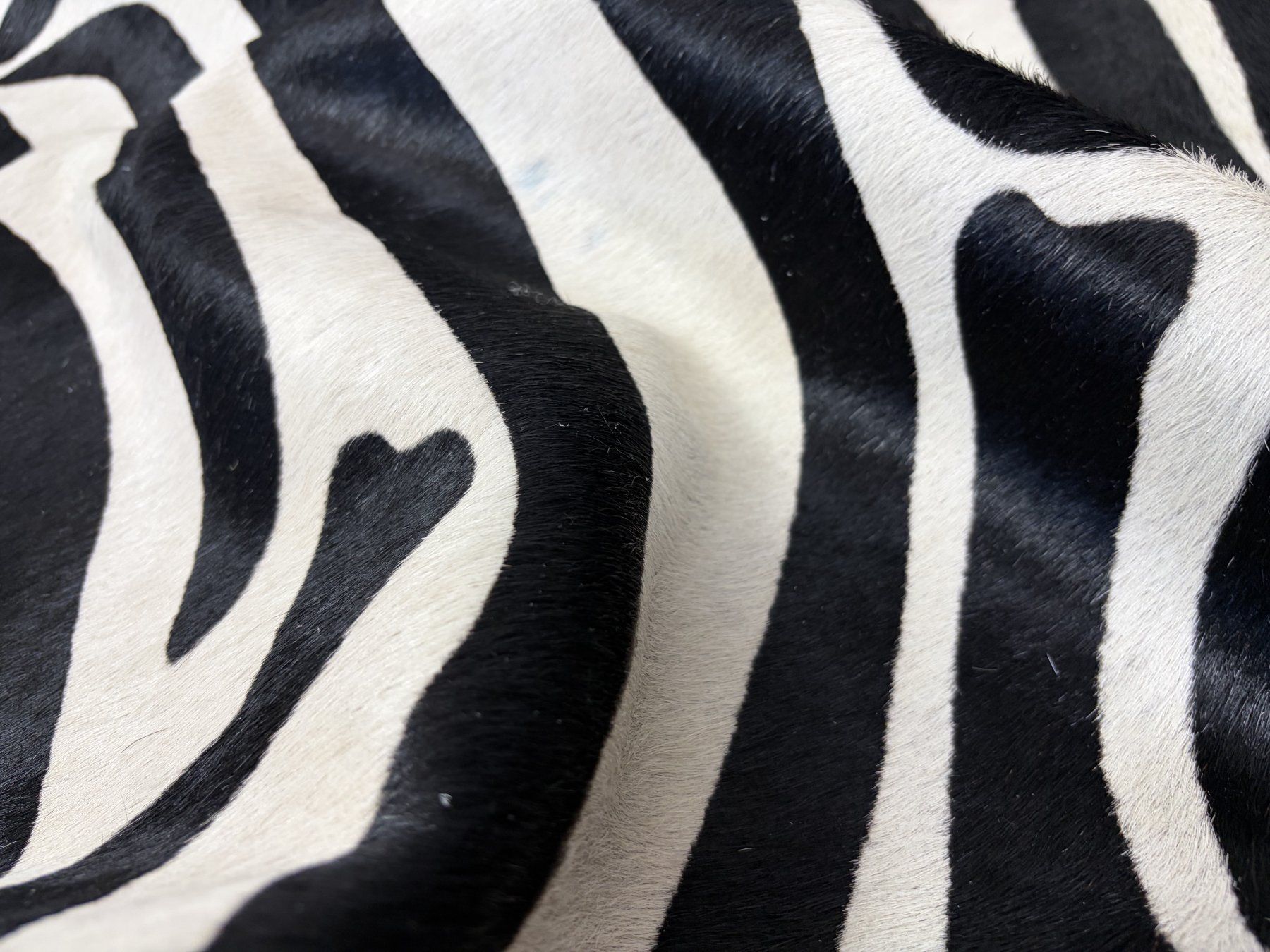 Tappeti: echtes Kuhfell Teppich Zebra – Nuovo e nell'imballaggio originale da Arbedo venduto da patagonialeatherrugs 5
