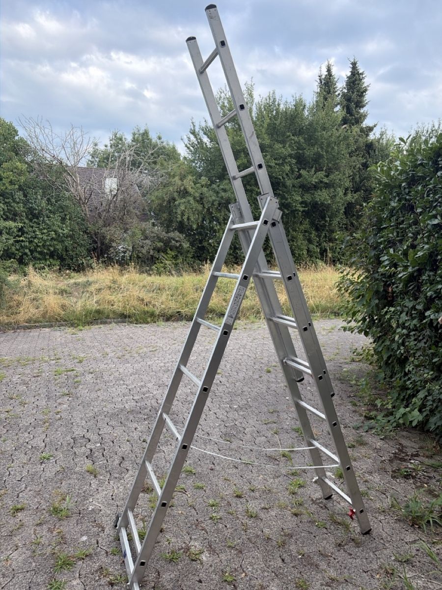 Scale: Leiter ausziehbar – Usato da Freidorf TG venduto da ibipatria