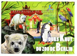 Block Eisbären, Pinguine, Papageien. Guinea