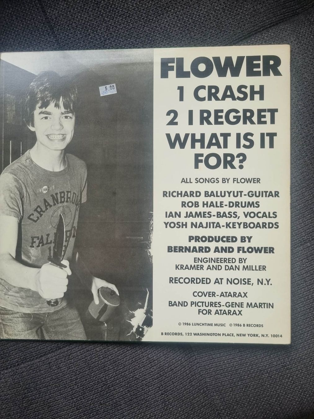 Dischi in vinile: Flower – Crash (12") – Usato da steckborn venduto da veckot 1