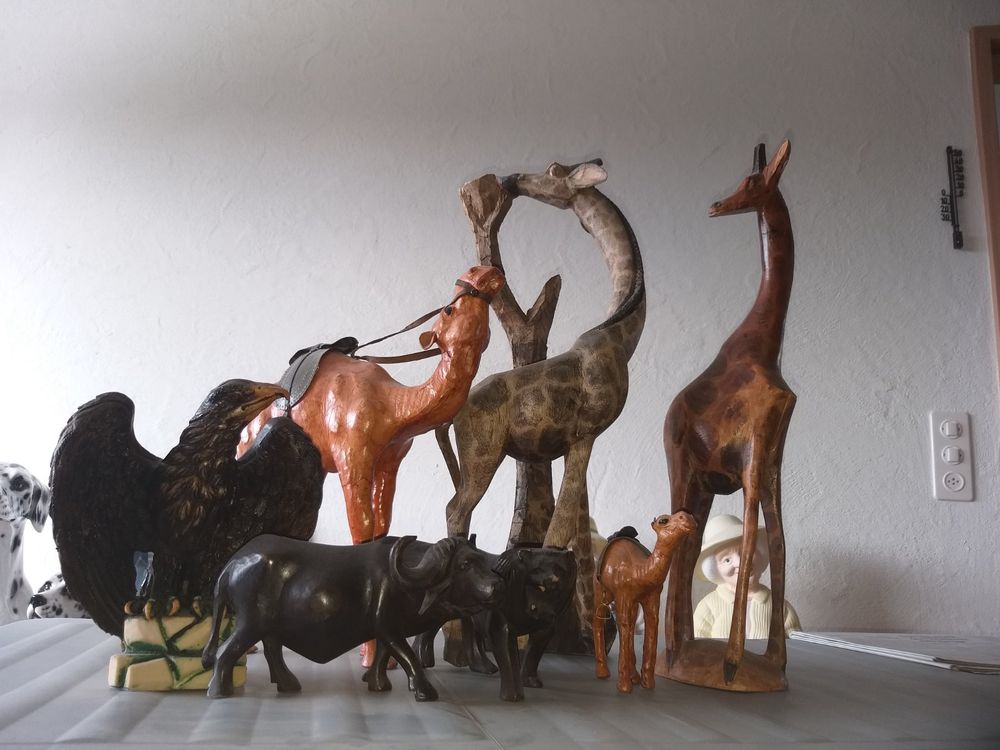 Giraffen Kamele Adler Wasserbüffel | Kaufen auf Ricardo
